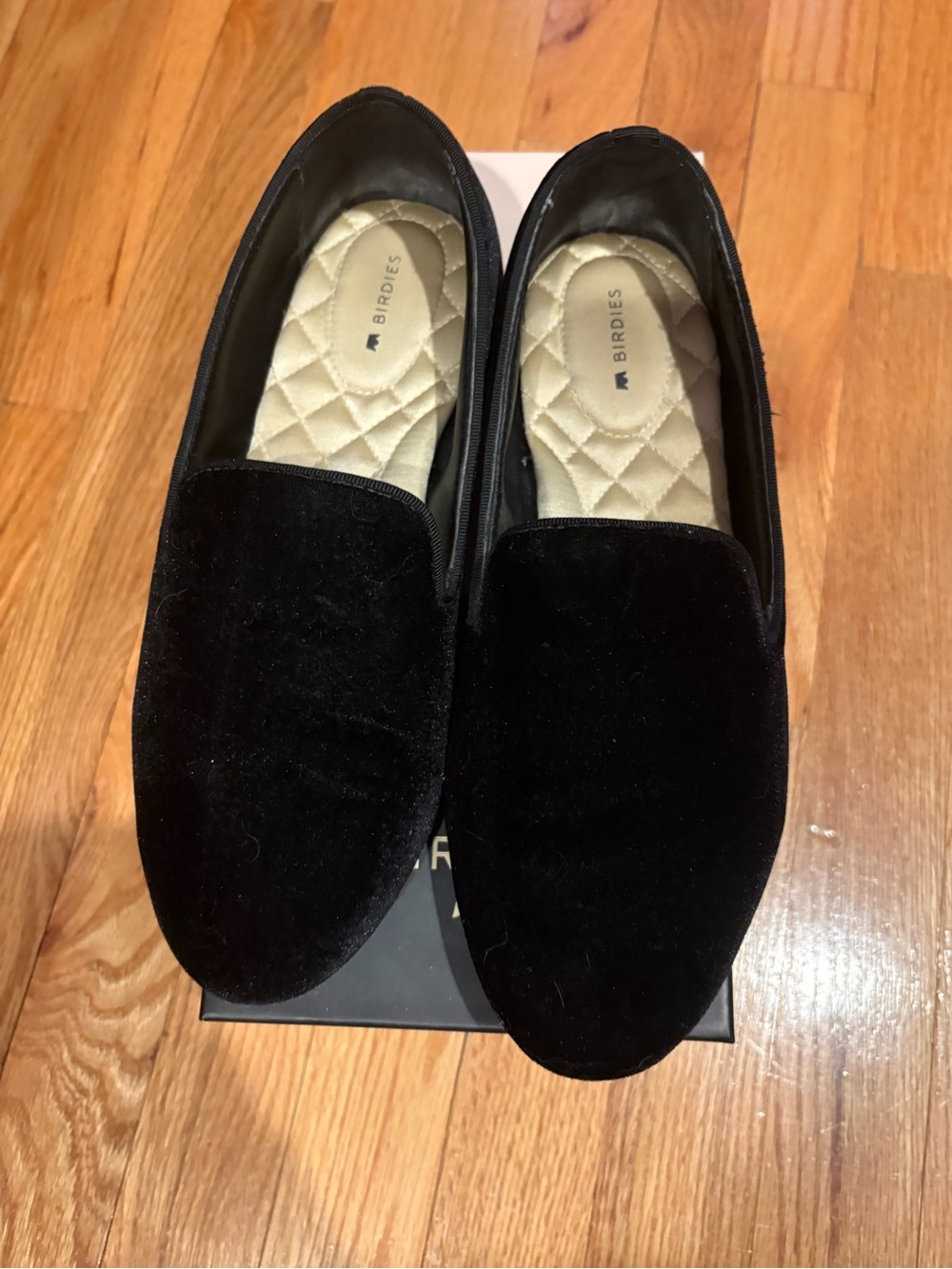 Birdies Black Velvet Loafers